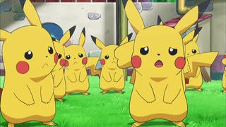 xy (321)