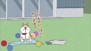 muco (11)