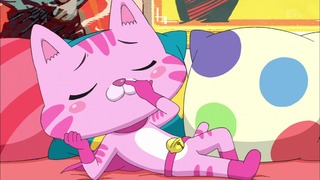 cap (8)