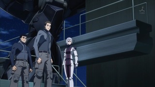 cap (223)