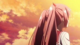 cap (231)