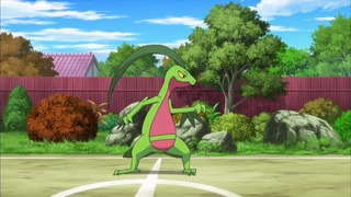 xy (161)
