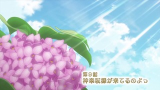 cap (24)
