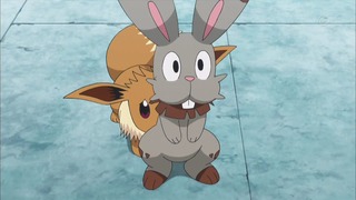 xy (31)
