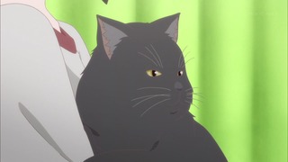 ne (55)
