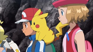 xy (49)