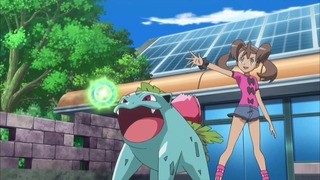 xy (141)