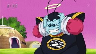 cap (12)