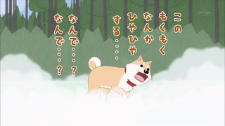 muco (69)