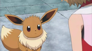xy (197)