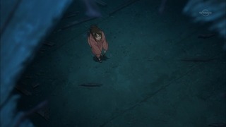 cap (253)