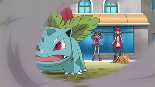 xy (151)