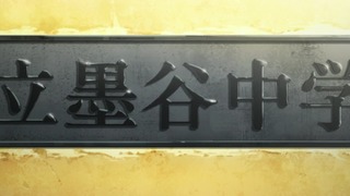 744