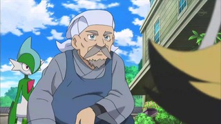 xy (141)