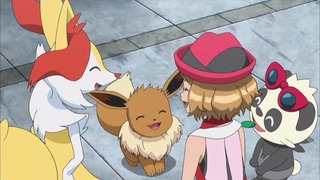 xy (202)
