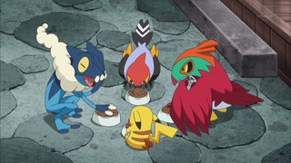 xy (158)
