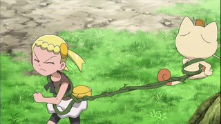 xy (201)