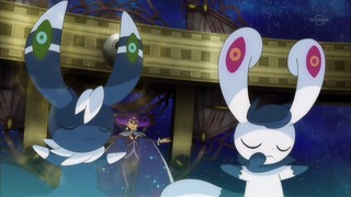 xy (89)
