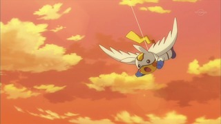 xy (378)
