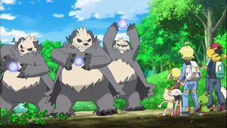 xy (140)