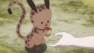 cap (3)