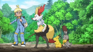 xy (55)