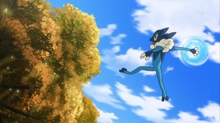 xy (49)