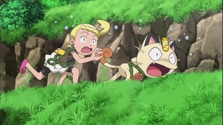 xy (98)