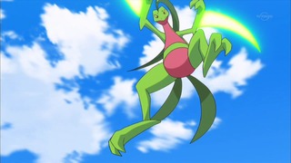 xy (155)