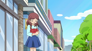 coco-102