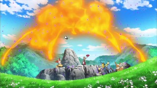 xy (242)