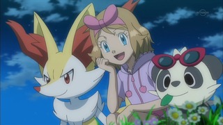 xy (117)