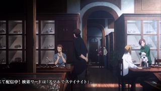 fate (25)