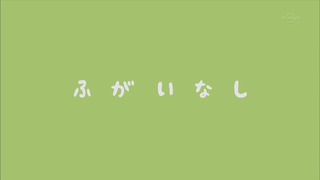 muco (51)