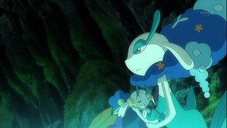 xy (37)