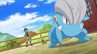 xy (46)