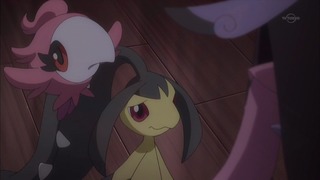 xy (69)