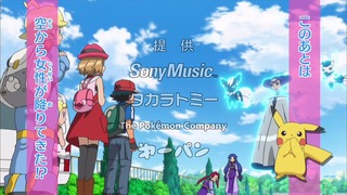 xy (12)
