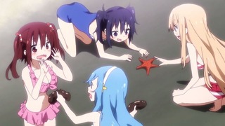 cap (223)