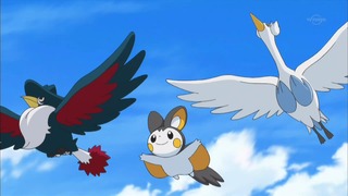 xy (30)