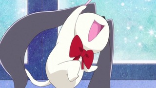 cap (246)