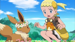 xy (194)