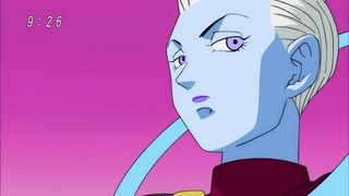 cap (233)