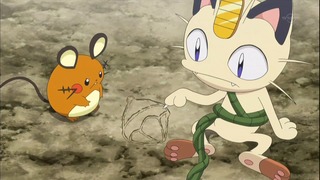 xy (107)