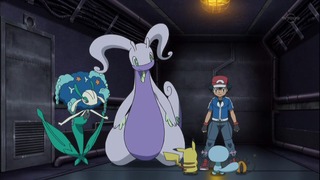 xy (88)