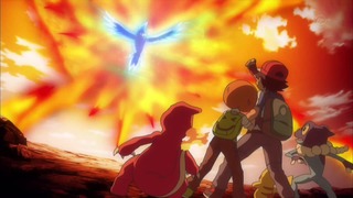 xy (185)