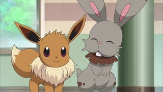 xy (91)