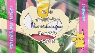 xy (22)
