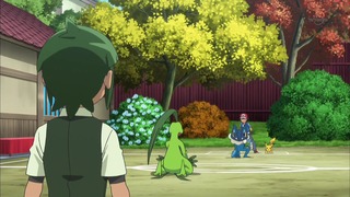 xy (173)