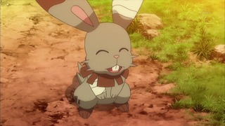 xy (206)
